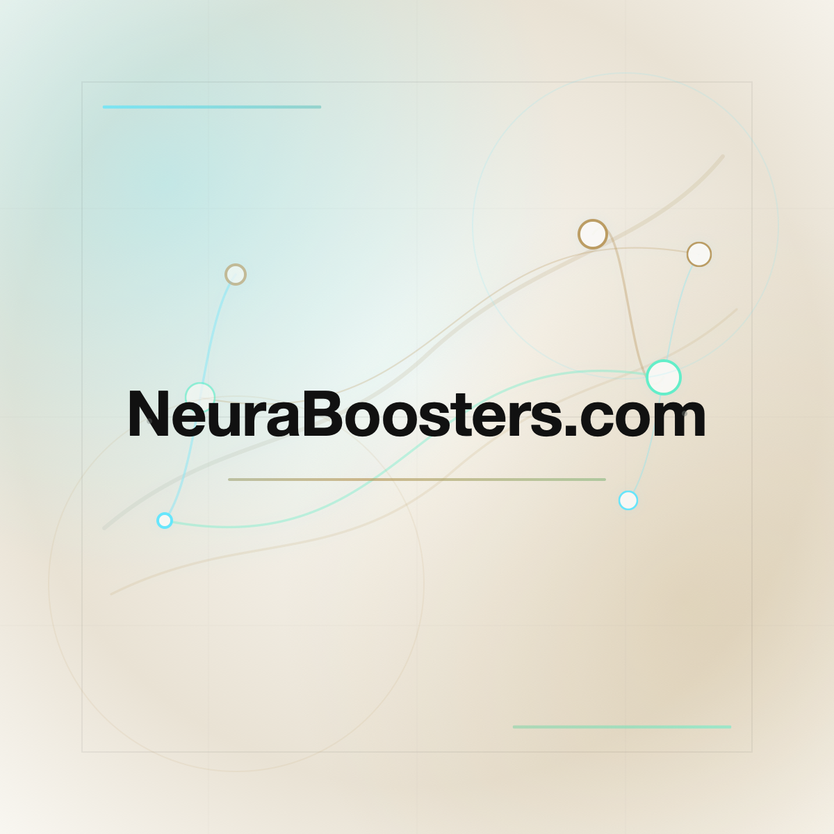 NeuraBoosters.com premium centered domain banner v2